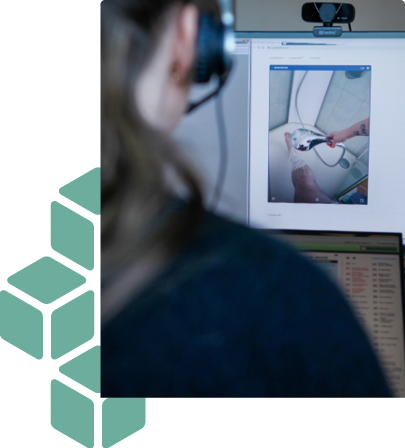 VV maternity case study section